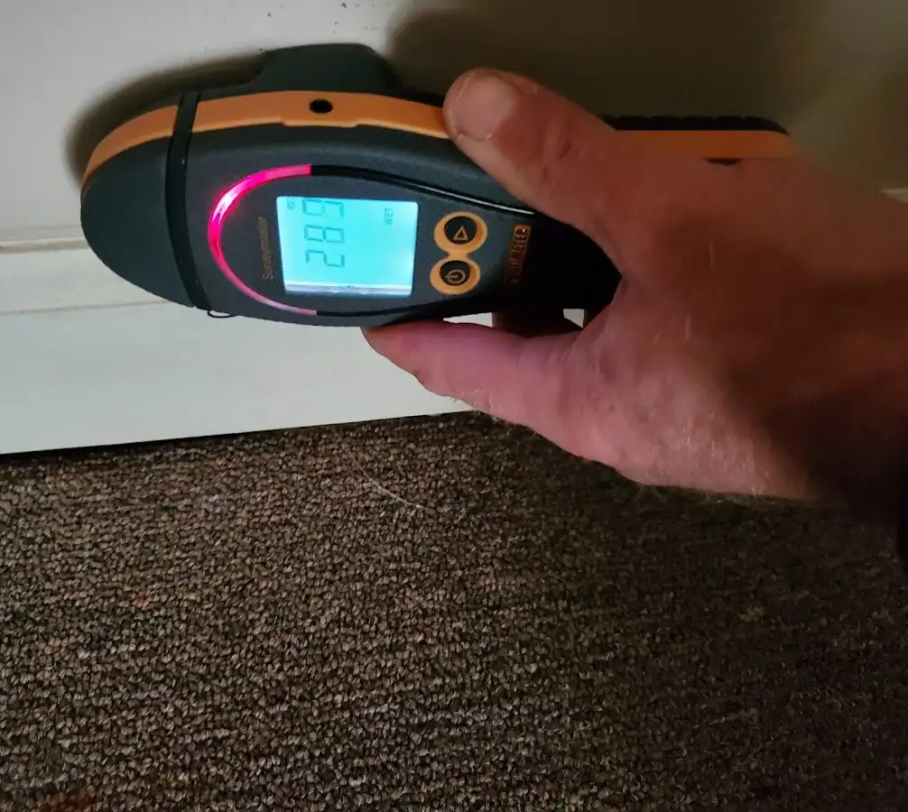 Moisture detection at baseboard during Mold Inspection & Testing in Dallas